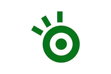 Alsys Pte. Ltd. logo