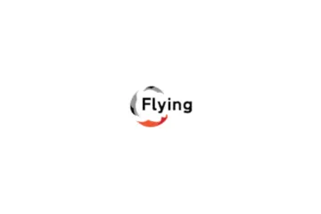 Flying Ideas Pte. Ltd. logo