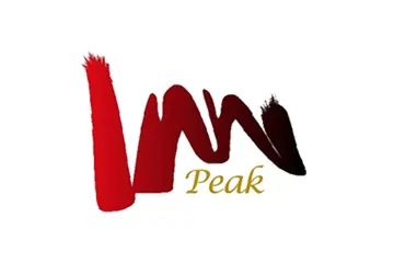Peak Engineering & Consultancy Pte. Ltd. logo